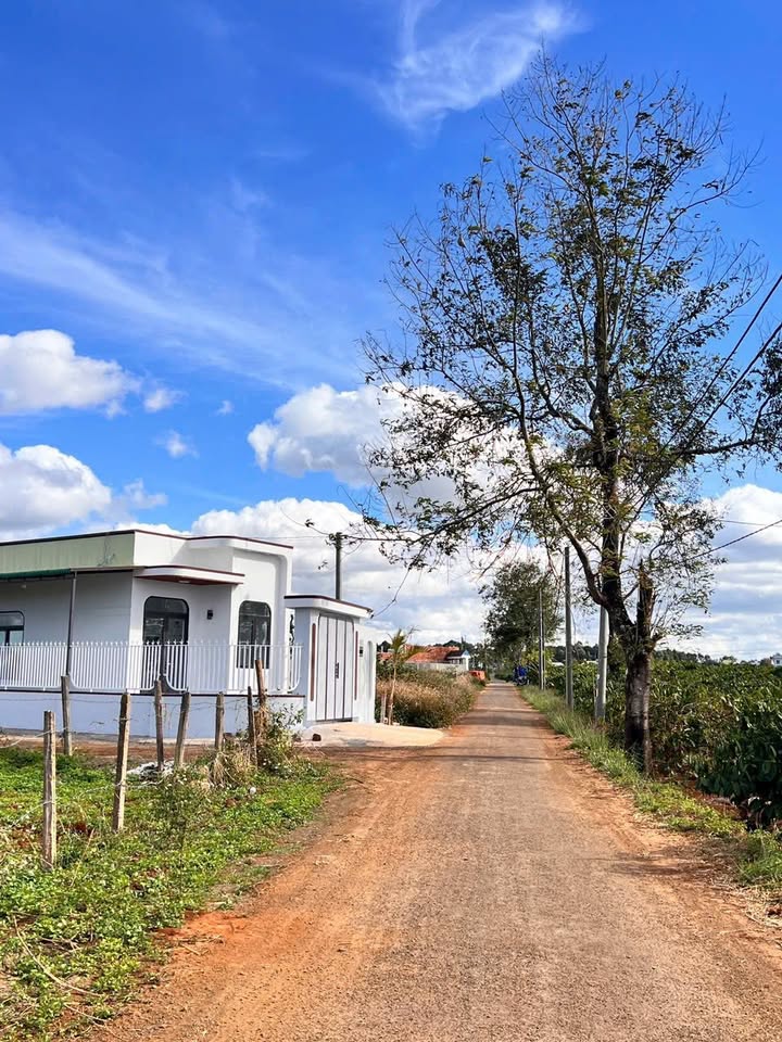 Đất nền Hẻm Chính Trần Vơn Ơn Pleiku 338m² giá 750 triệu - Đầu tư sinh lời ngay!