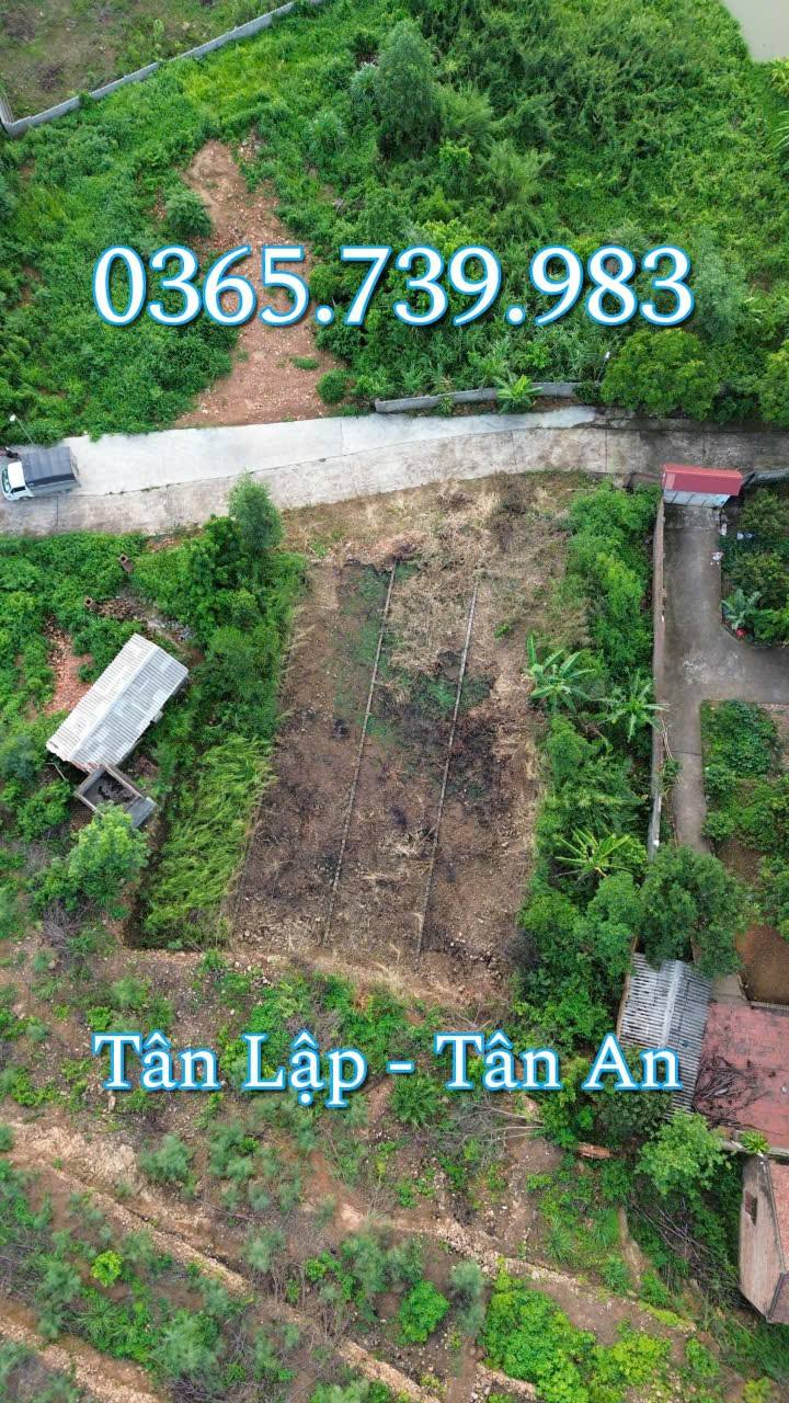 Lô đất 111m² tại Tân Lập, Tân An, Bắc Ninh - Đầu tư sinh lời hấp dẫn!