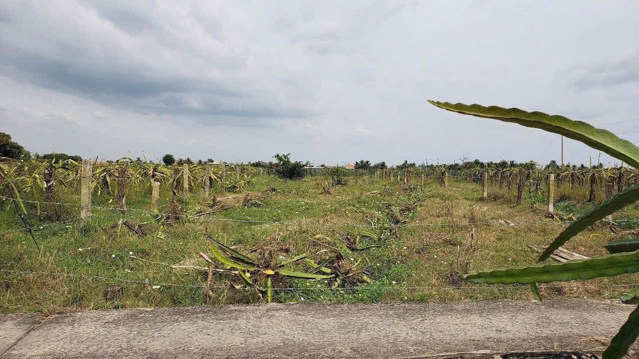 Đất vườn An Lục Long 746m² giá 400 triệu - Cơ hội đầu tư hấp dẫn!