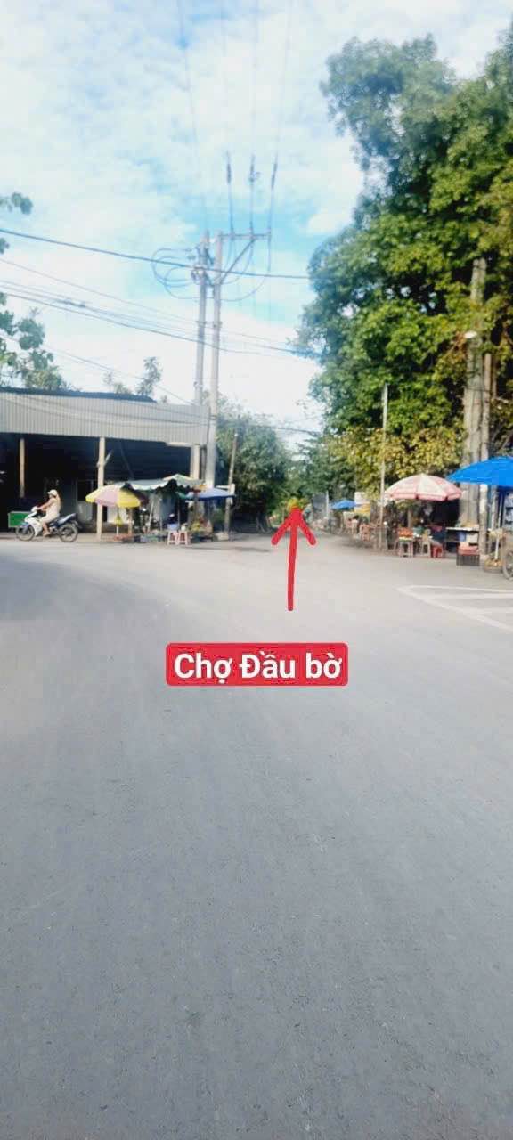 Đất nền Hòa Thuận, Châu Thành 4132m² giá chỉ 114 triệu - Cơ hội đầu tư hấp dẫn!