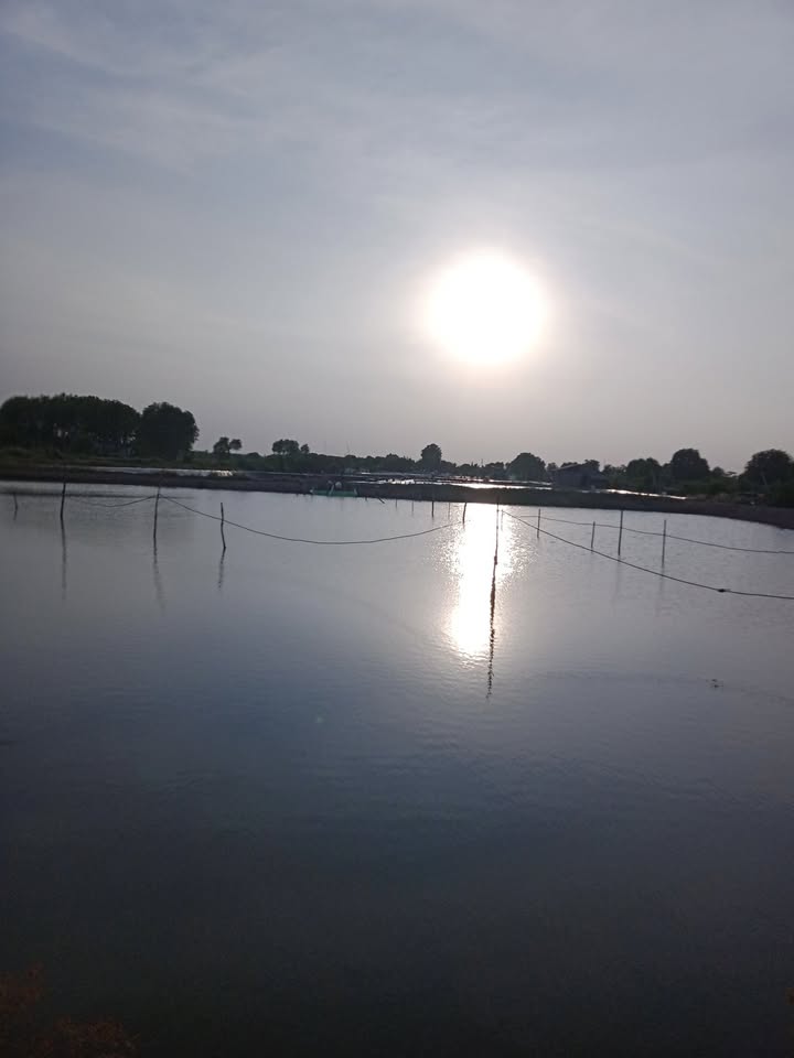 Đất nền 1,65ha tại Trường Long Hòa, Duyên Hải - Giá chỉ 10 tỷ, cơ hội đầu tư tuyệt vời!