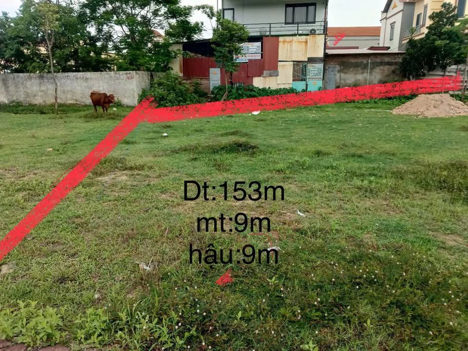 Đất nền Kim Hoa Mê Linh 153m² giá 8.5 tỷ - Tiềm năng đầu tư siêu lợi nhuận!