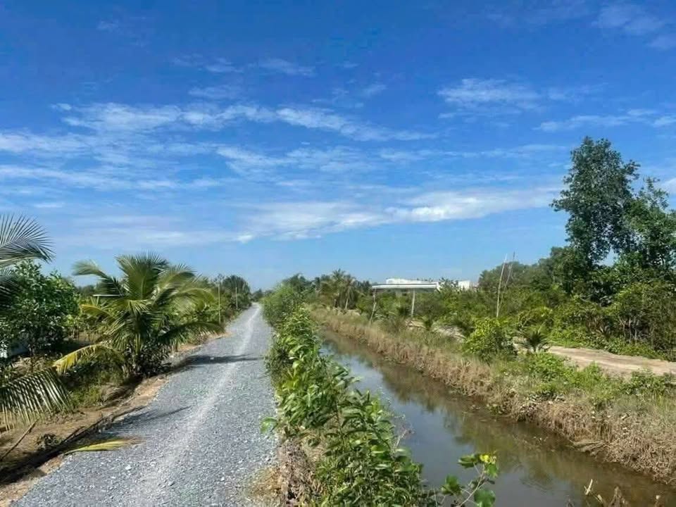 Đất thổ vườn Lương Hòa Bến Lức 965m² giá 2.5 tỷ - Tiềm năng đầu tư lớn!