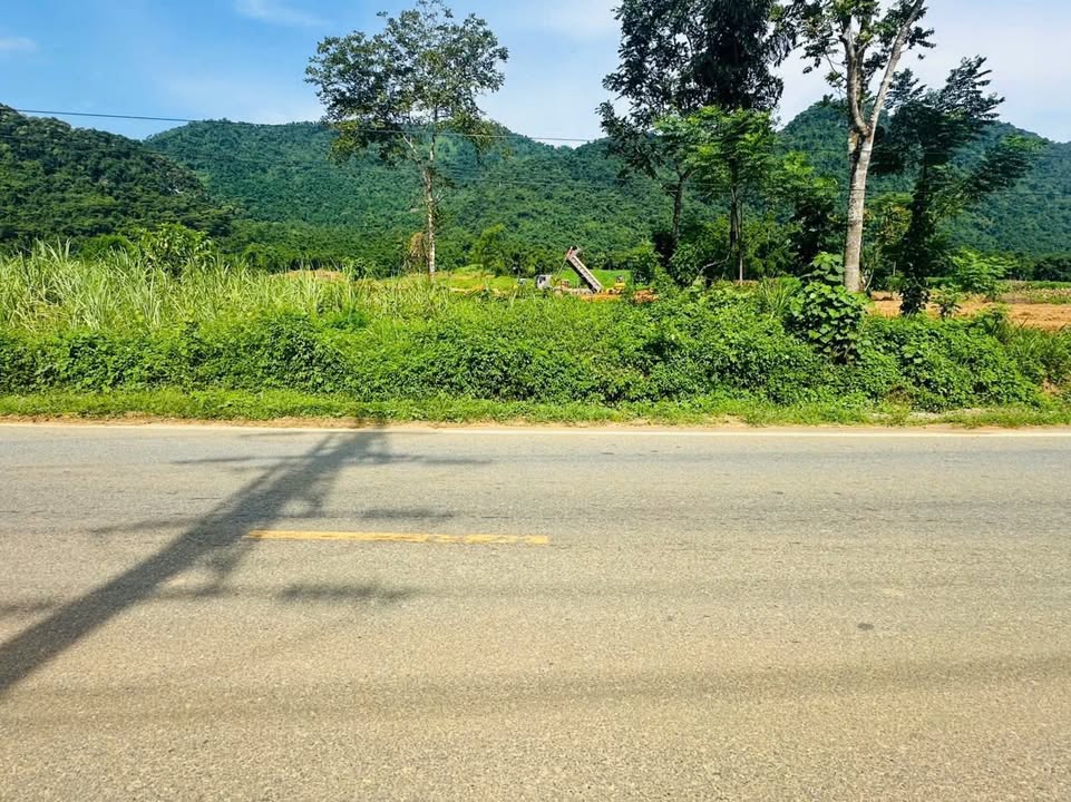 Đất liền kề kinh doanh đắc địa tại Quốc lộ 15A, 450m², giá thỏa thuận - Cơ hội đầu tư hấp dẫn!