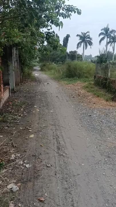 Nhà vườn 600m² ở Đức Ngãi, Long An - Giá 3 tỷ, phù hợp đầu tư!