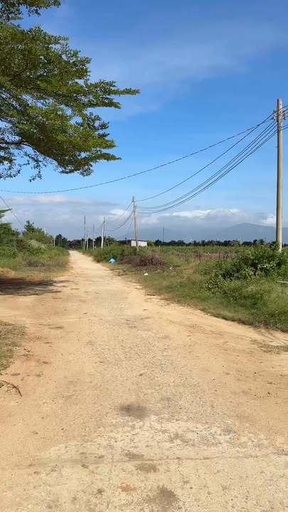 Đất Nền Thôn Thành Sơn, Ninh Hải 2014m² - Giá Chỉ 1 Tỷ, Cơ Hội Đầu Tư Hiếm Có!