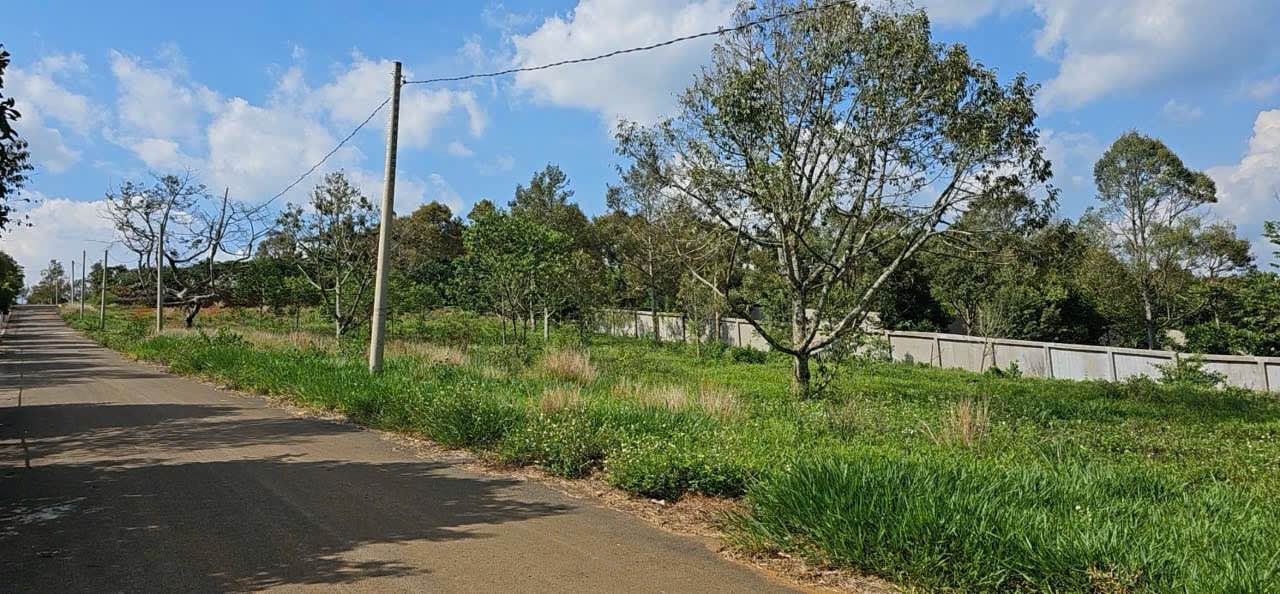 Đất nền hẻm 335 Phan Đình Phùng, Bảo Lộc 410m² giá 2.4 tỷ - Đầu tư sinh lời!