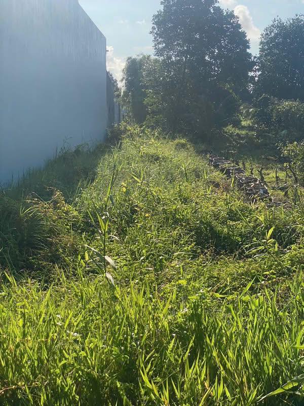 Đất nền 2 mặt tiền phường Tân Thành, 125m² giá 850 triệu - Cơ hội đầu tư tuyệt vời!