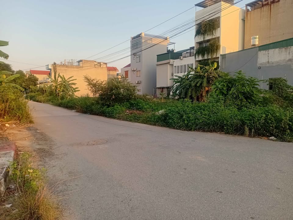 Đất thổ cư Ninh Khang, Hoa Lư, Ninh Bình 132m² - Giá chỉ 6 tỷ!