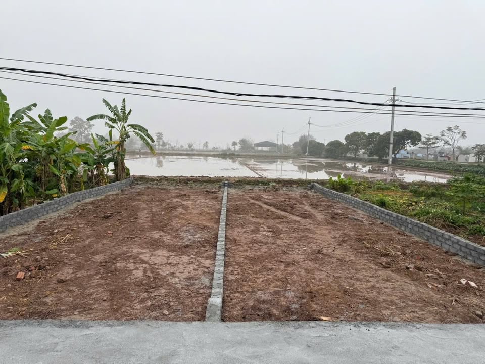 Đất nền Nam Triều Phú Xuyên 86m² giá 2 tỷ - Chính chủ bán gấp!