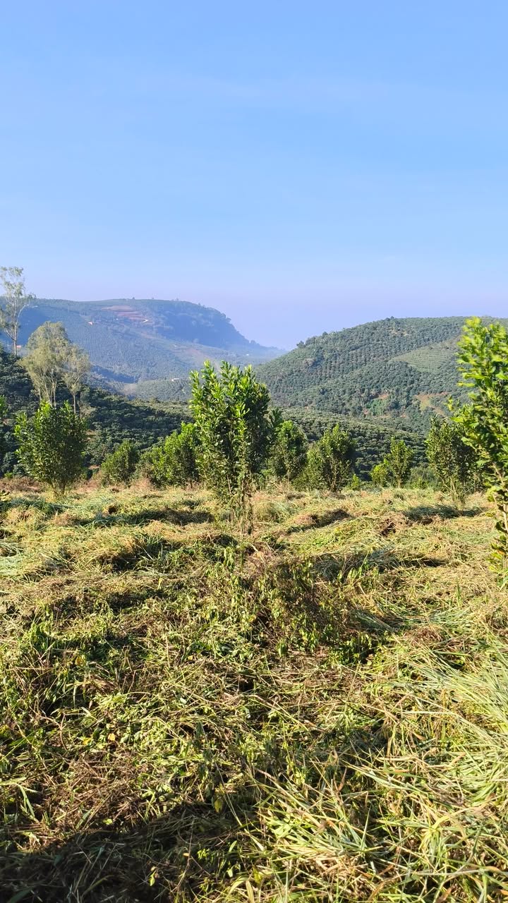 Đất nền xã Tân Hà Hoài Đức 9.500m² giá 1.7 tỷ - Đầu tư sinh lời lý tưởng!