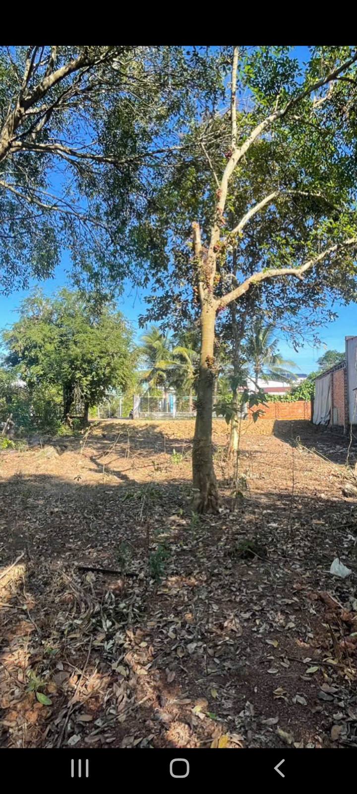 Đất nền chính chủ Vĩnh An 132m² giá 1.15 tỷ - Đường nhựa rộng rãi, tiện ích đầy đủ!