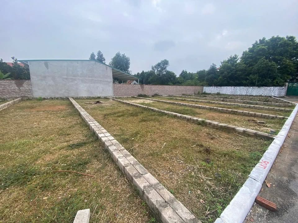 Đất nền Phúc Tiến, Phú Xuyên 65m² giá chỉ 2 tỷ - Cơ hội đầu tư lý tưởng!