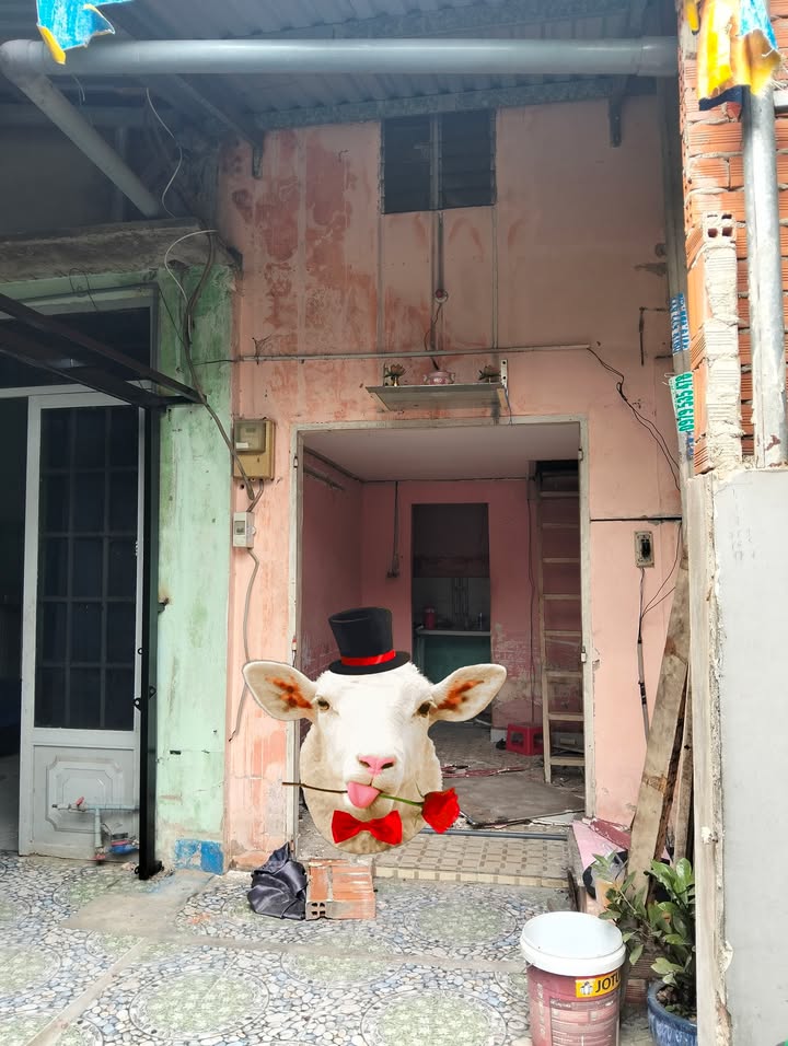 Nhà nhỏ mini Thới Tam Thôn 12m² giá chỉ 295 triệu - Sẵn sàng vào ở!