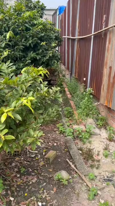 Bán lô đất 125m² tại Xuân Thới Thượng, Hóc Môn - Giá chỉ 1.7 tỷ