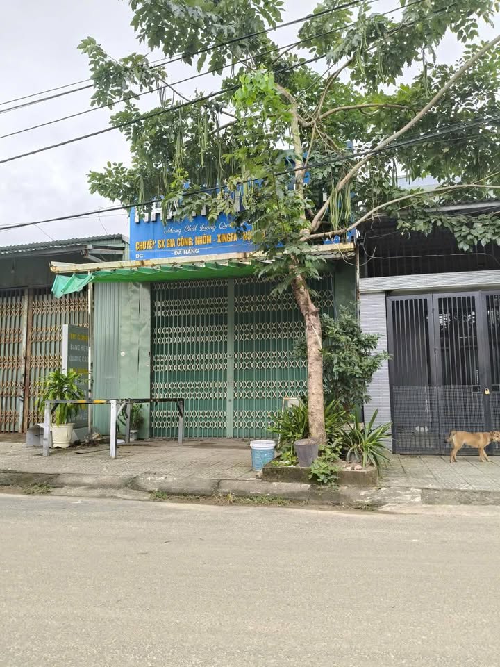 Đất nền Đà Sơn, Hòa Khánh 100m² giá 3.85 tỷ - Đầu tư sinh lời ngay!