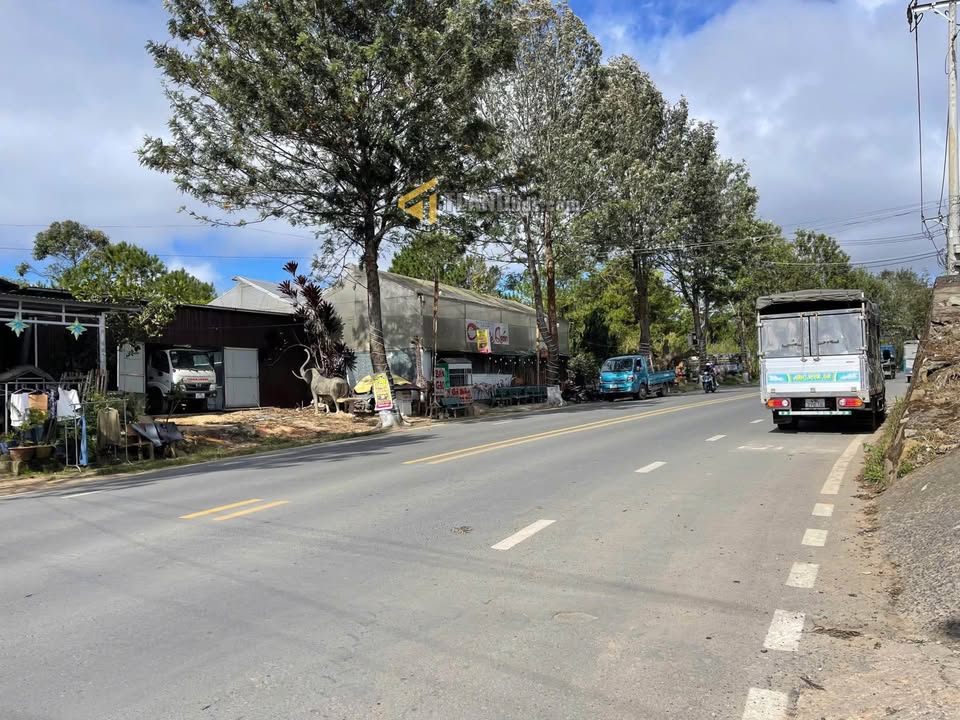 Nhà Mặt tiền đường Xô Viết Nghệ Tĩnh, Đà Lạt 117m² - Đầu tư sinh lời hấp dẫn!