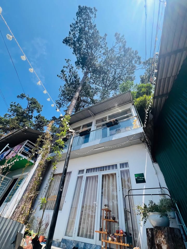 Nhà phố Đà Lạt 40m² giá 1.7 tỷ - Vị trí đắc địa, thích hợp kinh doanh