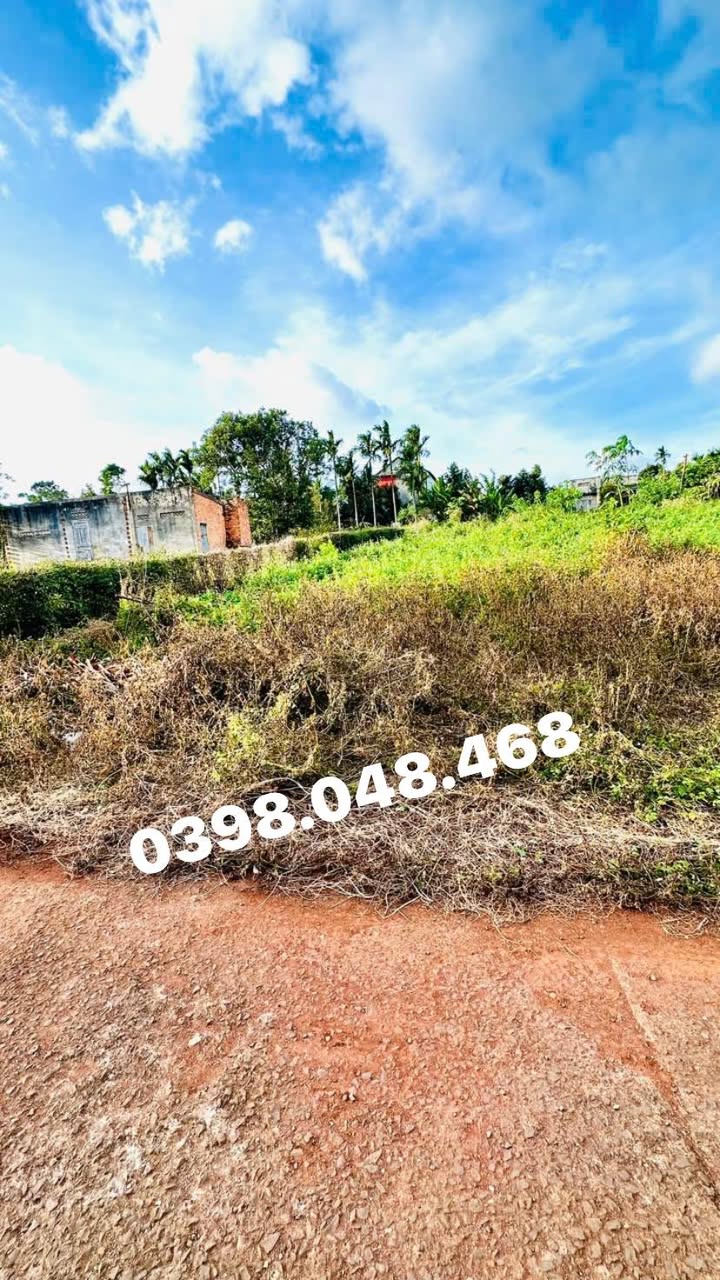 Đất nền Tân Lập, Buôn Ma Thuột 105m² giá 900 triệu - Đầu tư sinh lời ngay!