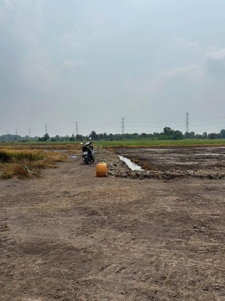 Đất nền Tân Thạnh Đông, Củ Chi 2341m² giá 2 tỷ - Đầu tư sinh lời ngay!