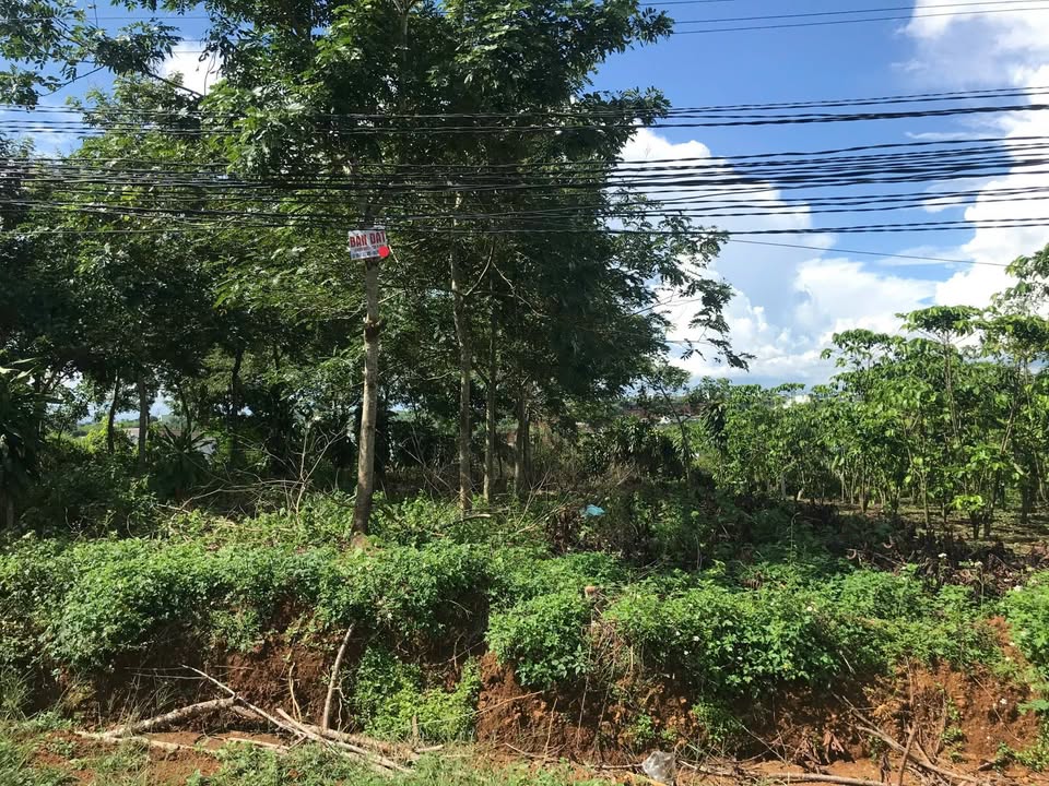 Đất Bảo Lộc 492m² giá 5 tỷ - Mặt tiền đường nhựa, tiềm năng lớn!