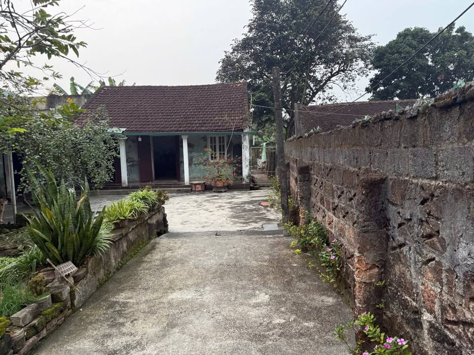 Nhà cấp 4 Đông Hòa, Đông Sơn, Thanh Hóa 750m² - Sổ đỏ chính chủ, ô tô vào tận đất!