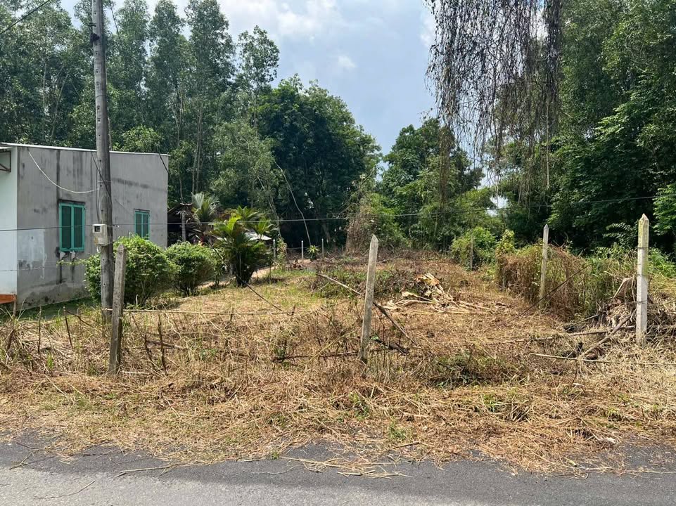 Đất 400m² Tỉnh Lộ 8, Tân Thạnh Tây, Củ Chi - Giá 3.45 tỷ, Đầu tư sinh lời!