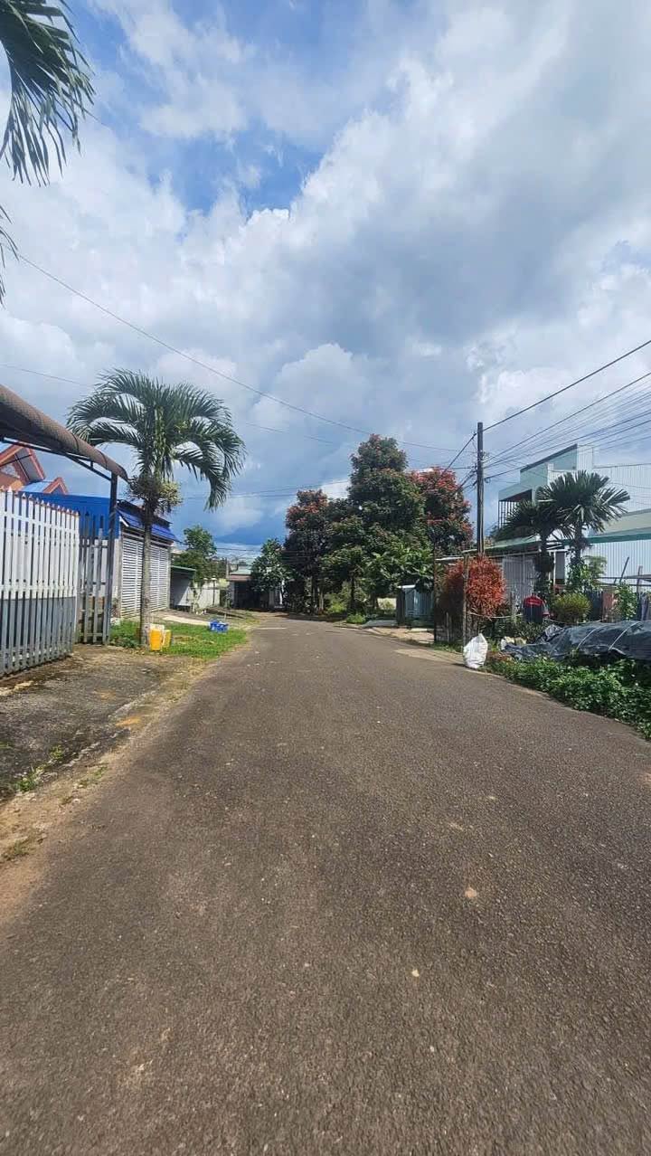 Đất nền Tố Hữu, Lộc Sơn, Bảo Lộc 145m² giá 1.78 tỷ - Đầy đủ thổ cư, đầu tư sinh lời