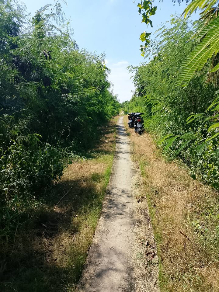 Đất nuôi tôm 8000m² tại ấp Toàn Thắng, Bạc Liêu - Giá chỉ 110 triệu!