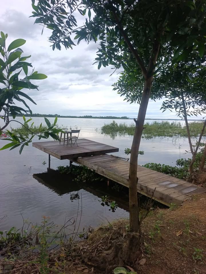 Đất vườn La Ngà, Định Quán 1203m² - Sổ hồng riêng, giá đầu tư hấp dẫn!