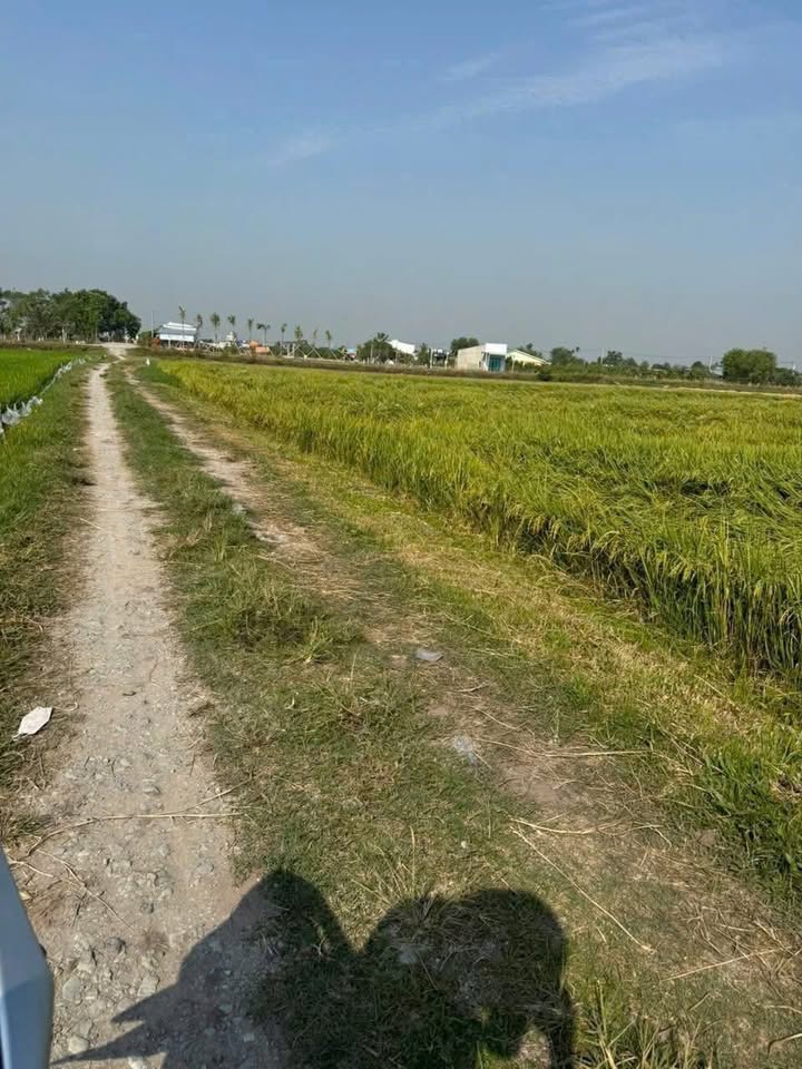 Đất nền xã Mỹ Hạnh, Đức Hòa, Long An 762m² giá 850 triệu - Cơ hội đầu tư hấp dẫn!