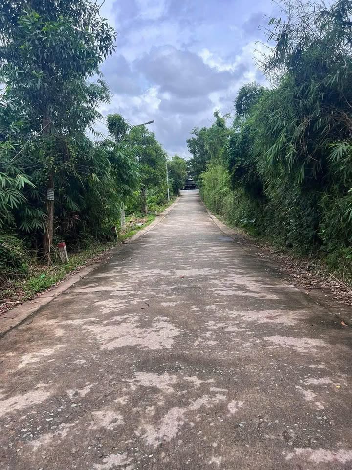 Đất Cư Chánh Thủy Bằng - TP Huế 200m² giá 1.3 tỷ - Vị trí đẹp, dễ đầu tư!