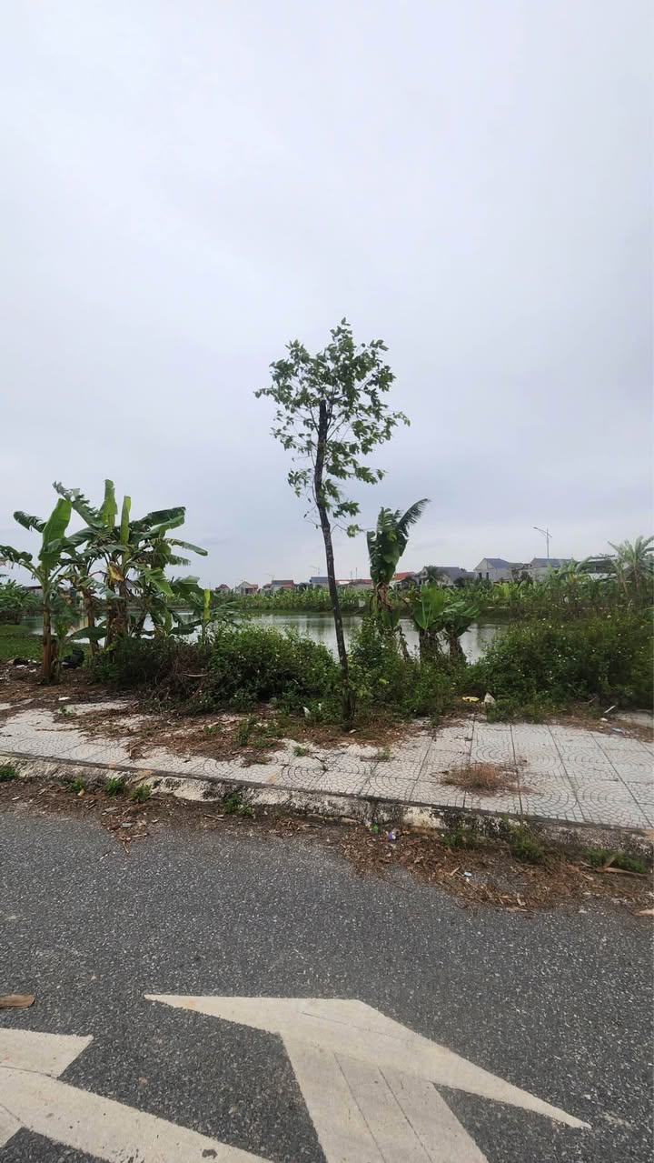 Đất 3 mặt tiền Phường Đông Sơn 150m² giá 1.29 tỷ - Tiềm năng đầu tư lớn!