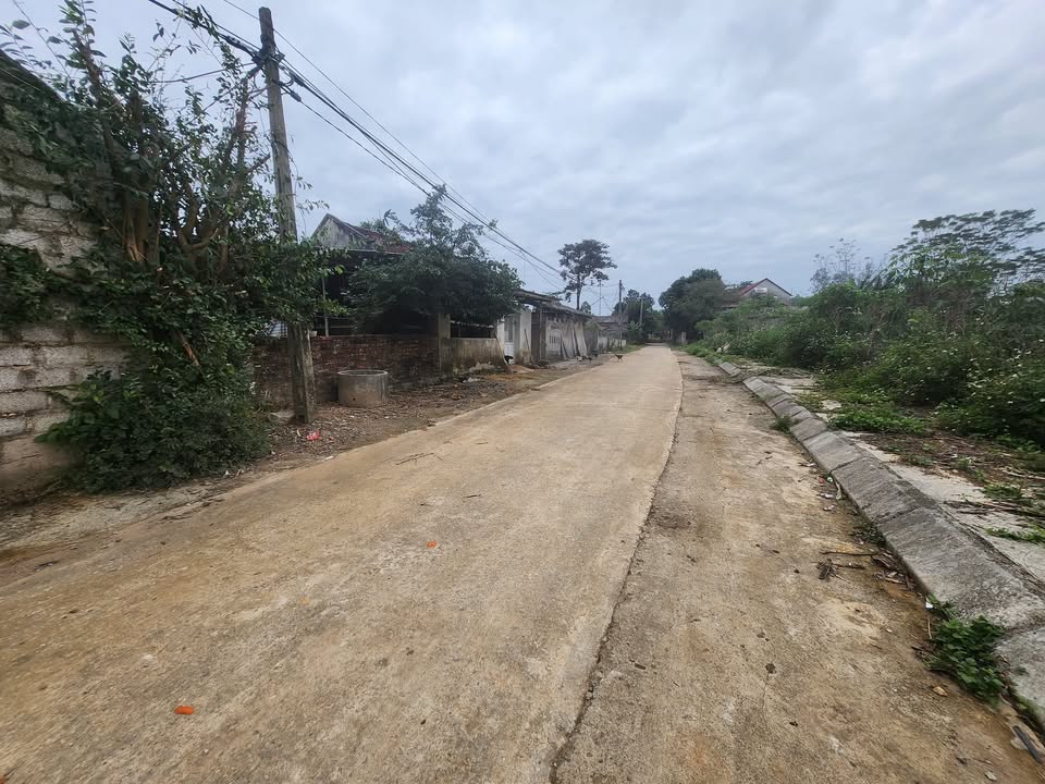 Đất nền Thọ Sơn 300m² giá 4.5 tỷ - Vị trí vàng gần khu công nghiệp!