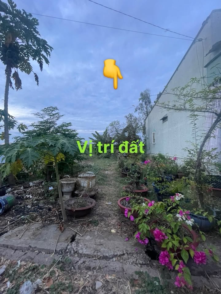 Lô đất nền KDC Châu Phong 81m² giá 600 triệu - Sổ hồng chính chủ!