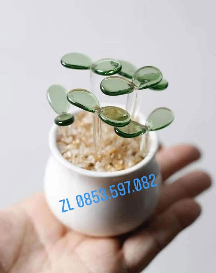 Nhà 3 tầng đường Âu Cơ, 60m² giá 1.25 tỷ - Chính chủ bán gấp!