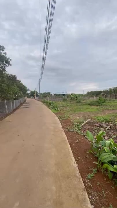 Đất cho thuê 1ha tại Xuân Đông, Cẩm Mỹ - Giá chỉ 30 triệu/năm, điện nước đầy đủ!