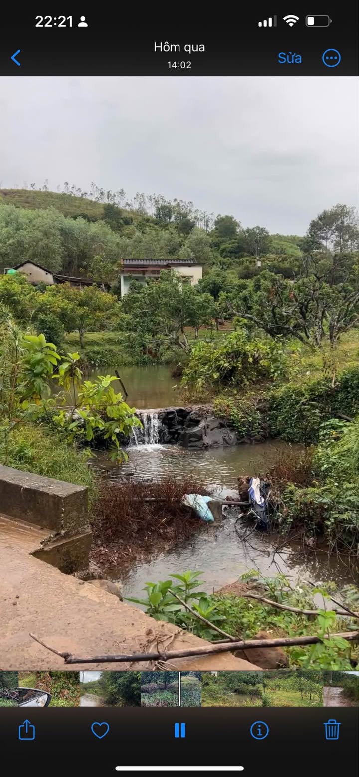 Đất Farm Kiên Thành Lục Ngạn 6,5ha giá thỏa thuận - Đường thông, hai mặt tiền
