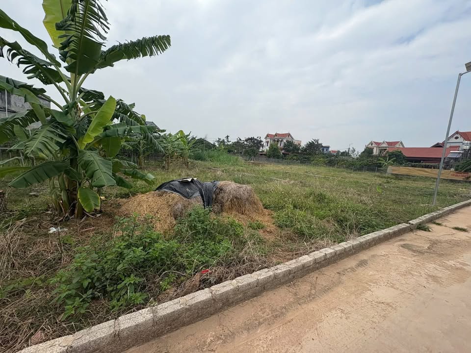 Đất nền Trại Đáng, Tam Dị, Lục Nam 211m² giá 200 triệu - Cơ hội vàng cho đầu tư!