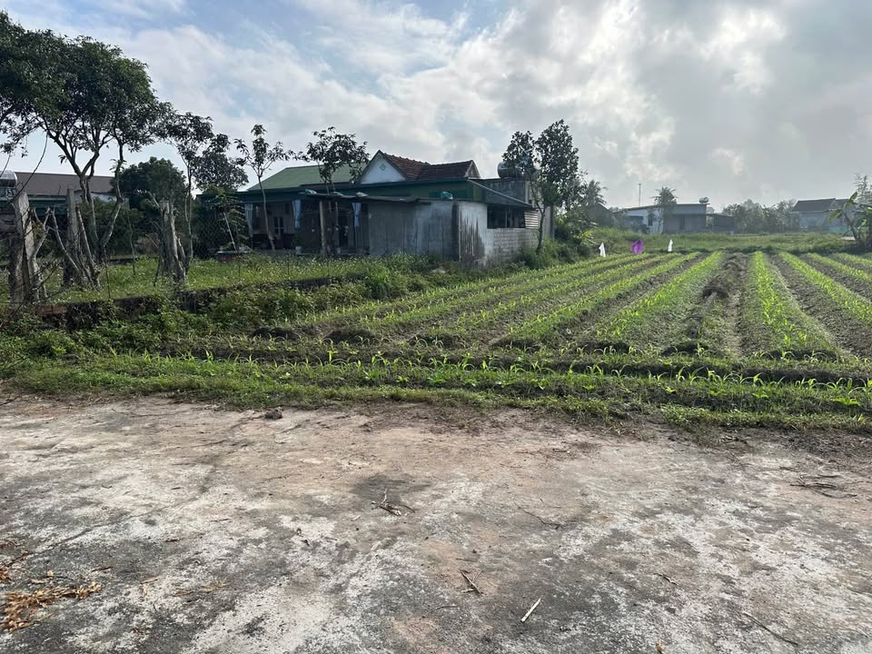 Đất nền Nghi Kiều 277m² chỉ 650 triệu - Cơ hội đầu tư tuyệt vời!