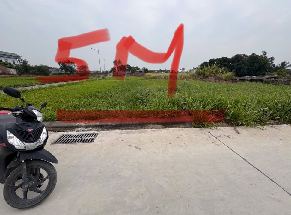 Đất nền Lương Tài 100m² giá 1.95 tỷ - Mặt đường liên xã đẹp