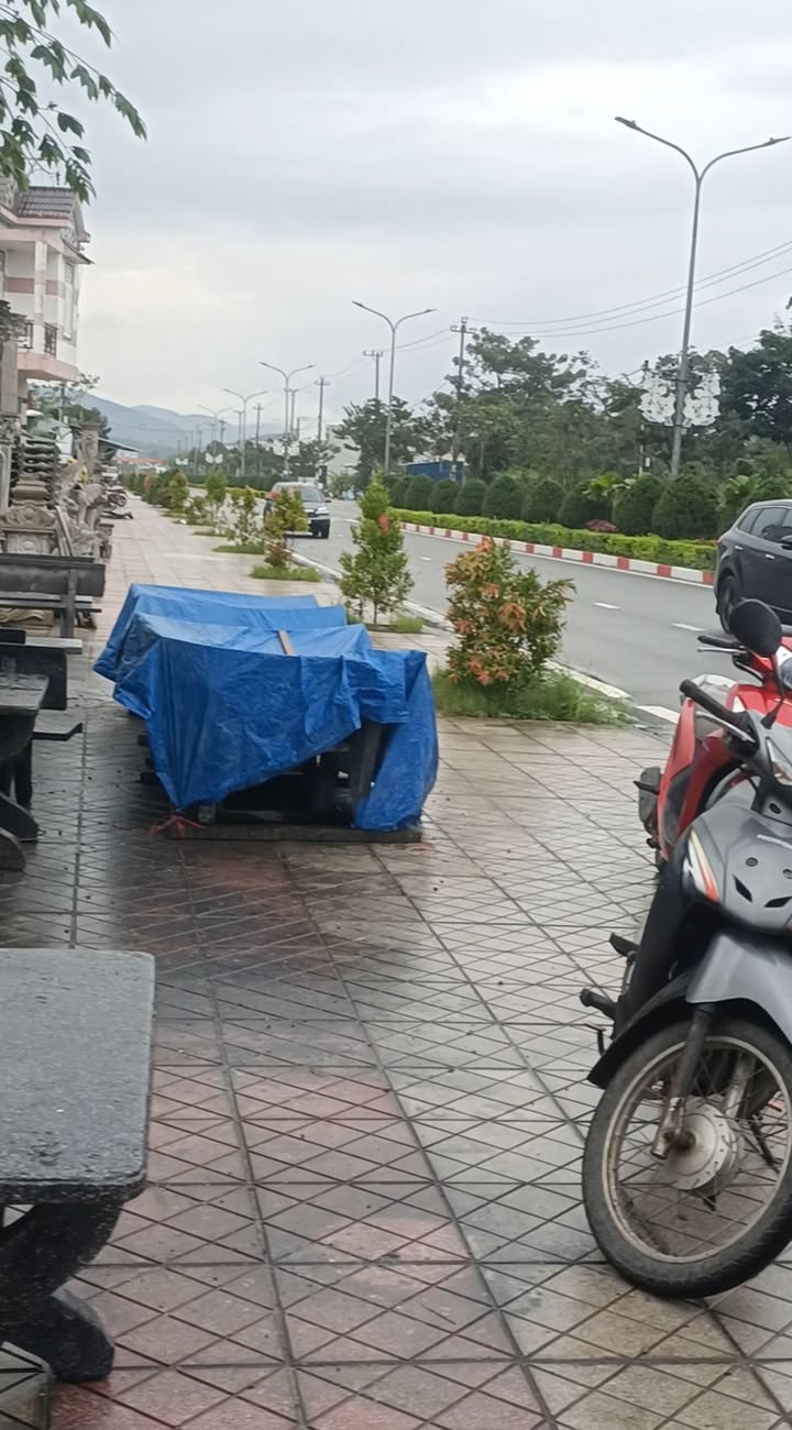 Đất nền mặt tiền đường Trần Hưng Đạo, Sơn Trà, Đà Nẵng 107.5m² giá 1.7 tỷ - Đầu tư sinh lời ngay!