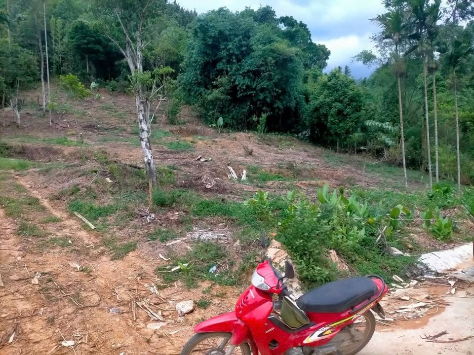 Đất nền Cao Dương Lương Sơn 1800m² giá chỉ 1.8 tỷ - Cơ hội đầu tư hiếm có!