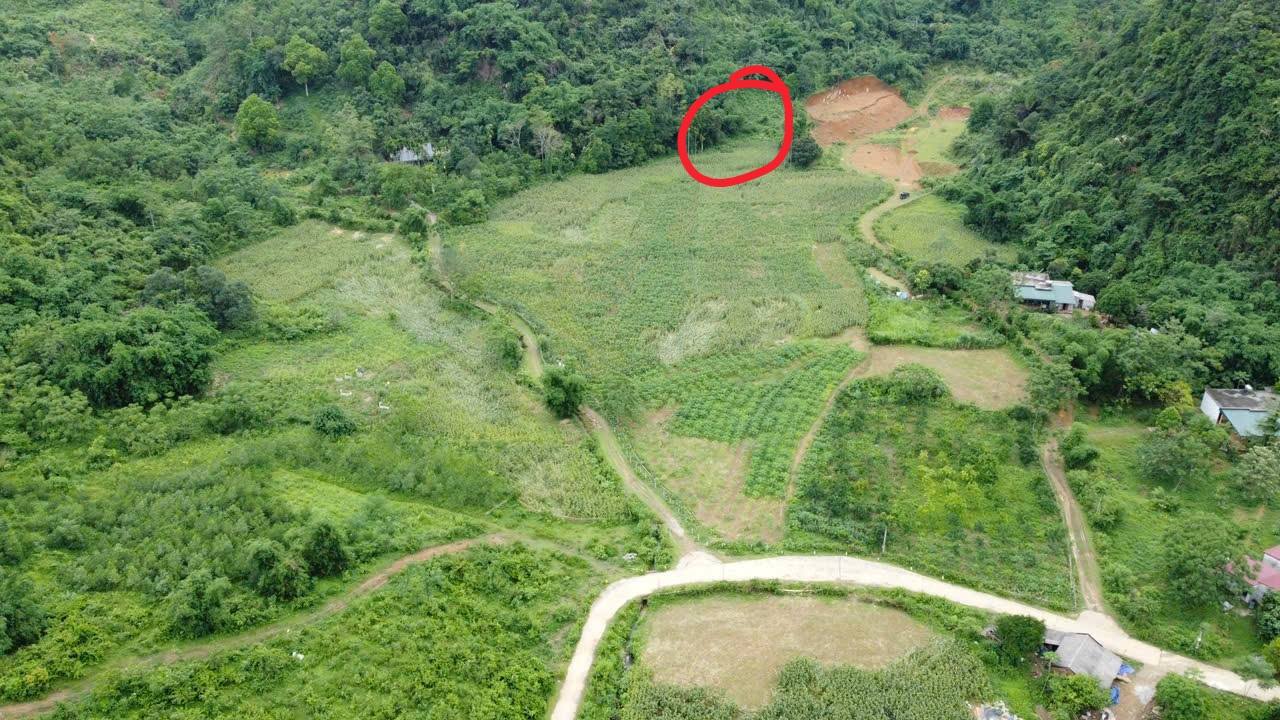 Đất nghỉ dưỡng Cao Dương Lương Sơn 1440m² giá 1 tỷ - Cơ hội vàng cho đầu tư!