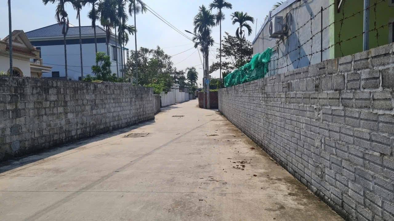 Đất thổ cư An Tiến, An Lão 115m² giá chỉ 1 tỷ - Tiềm năng đầu tư sinh lời nhanh!