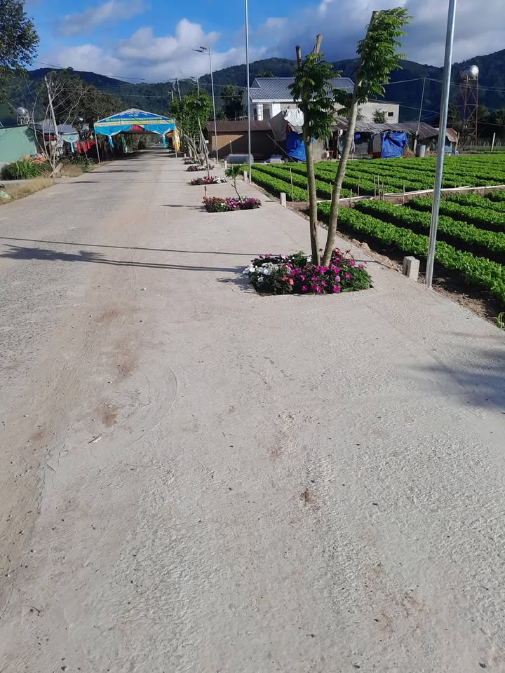 Đất nền D’ran Đơn Dương 425m² giá 730 triệu - Sổ hồng riêng từng lô!