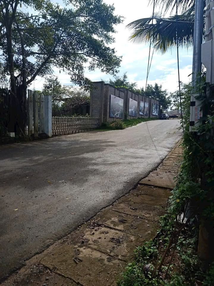 Đất thổ cư Bảo Lộc 110m² giá 980 triệu - Đầu tư sinh lời ngay!