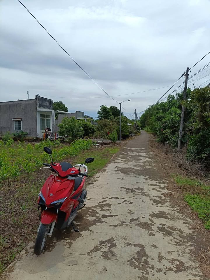 Đất nền chính chủ xã Phú Hòa, Đồng Nai, 250m² chỉ từ 550 triệu - Đầu tư sinh lời ngay!