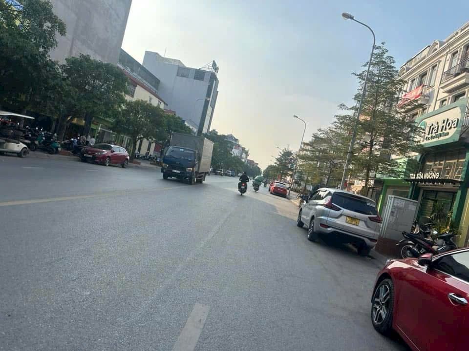 Đất nền phố Thành Trung Trâu Quỳ 55m² giá 10.545 tỷ - Đầu tư sinh lời ngay!