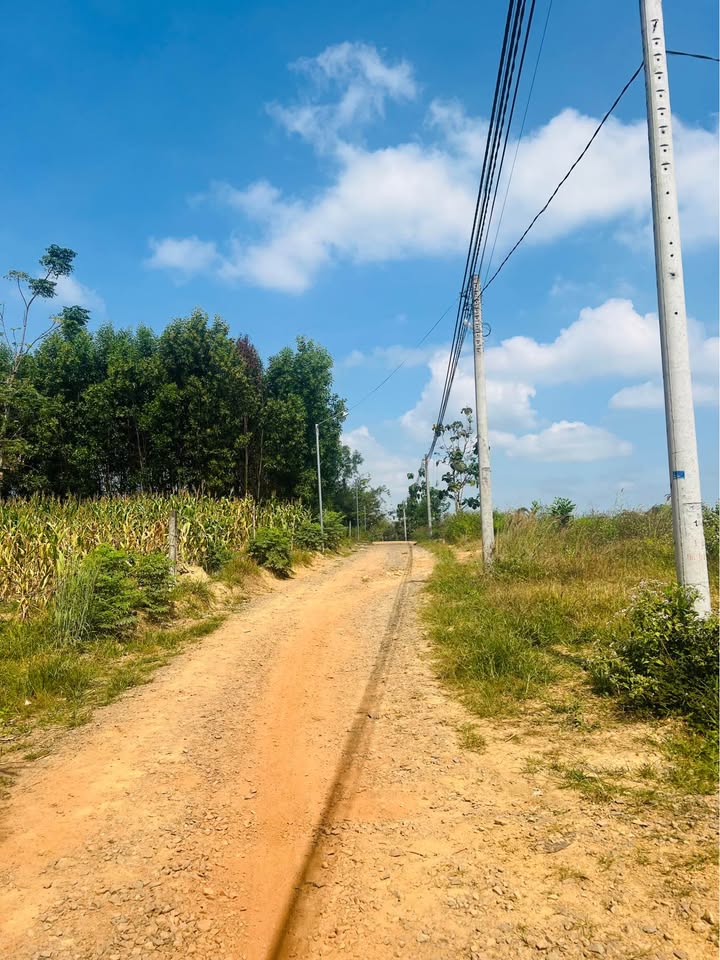 Đất nền Định Quán 340m² giá 780 triệu - Đầu tư sinh lời ngay hôm nay!